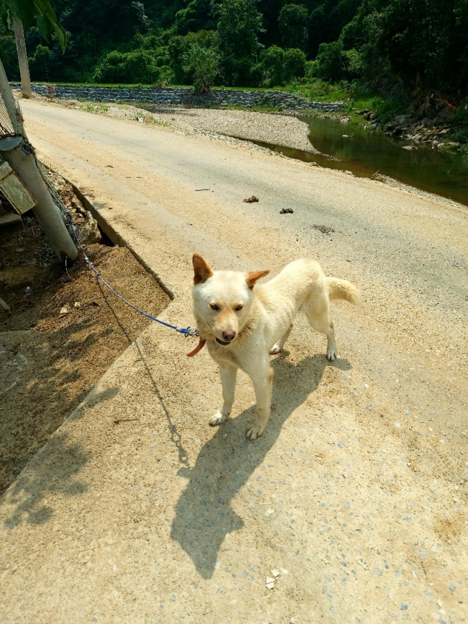 제일동물병원_444455202400445
