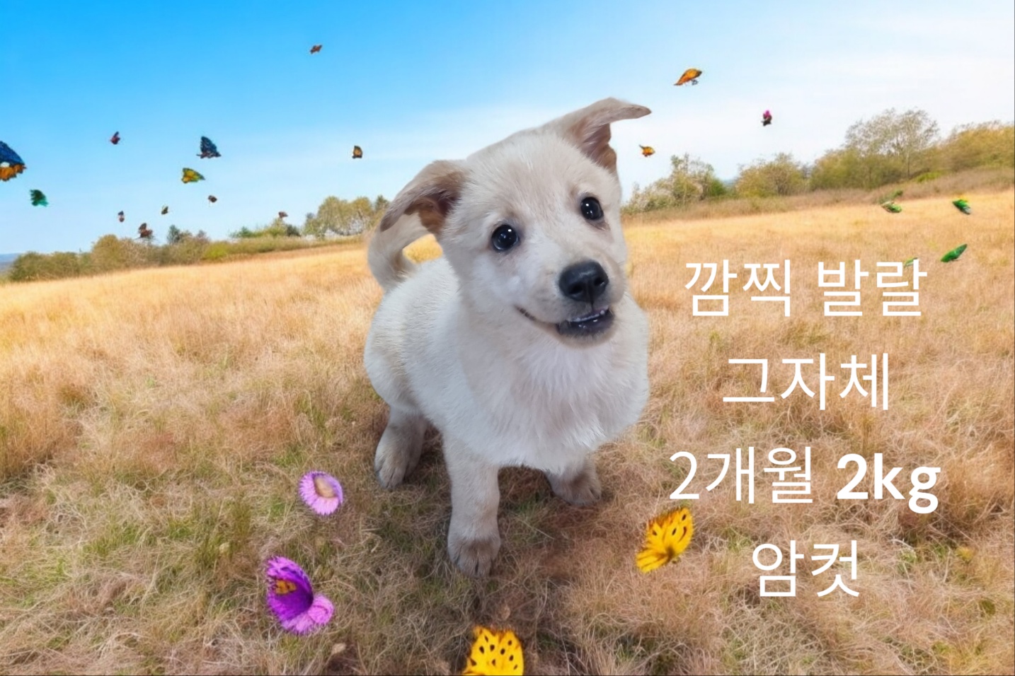 보호중 엄마는 시바…