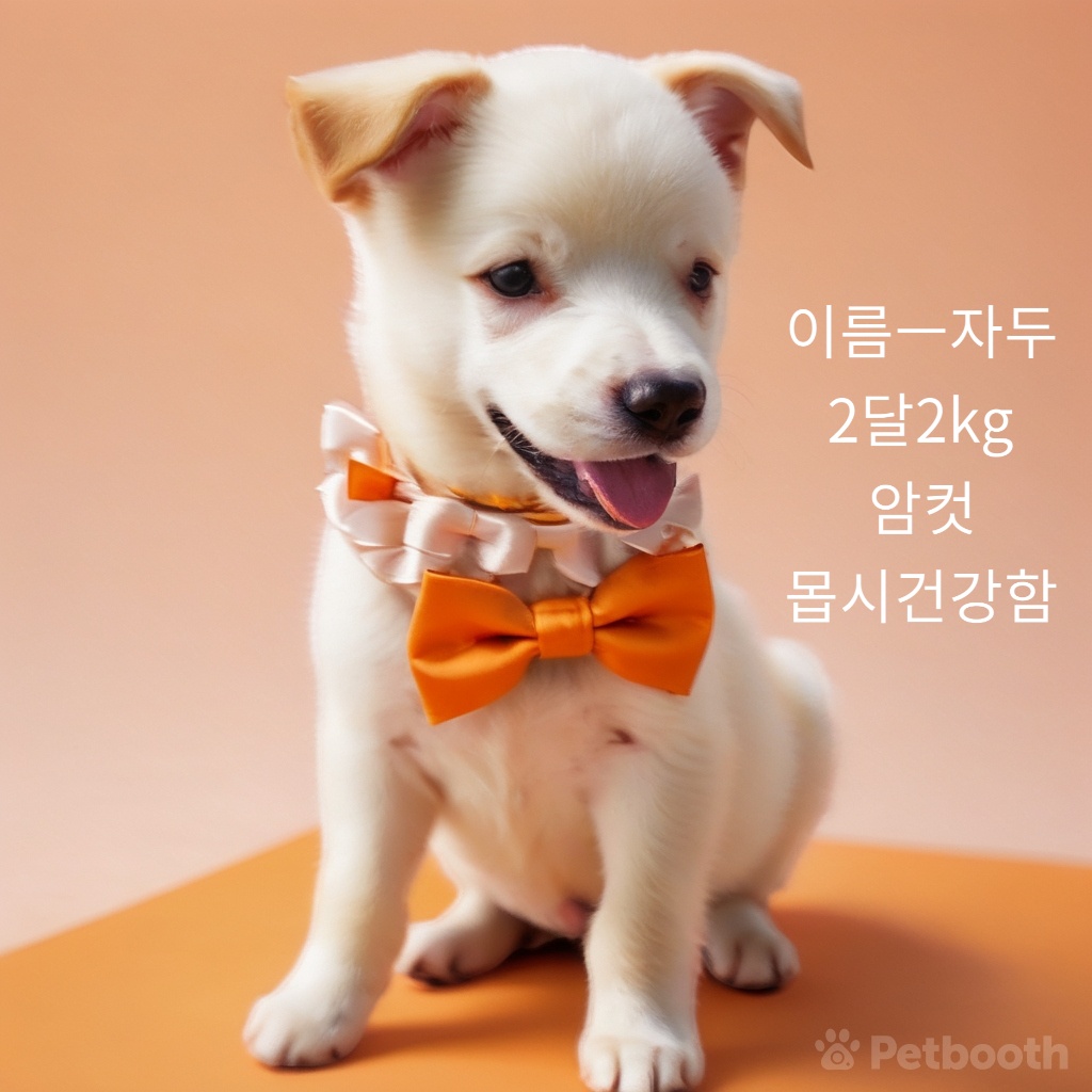 보호중 엄마는 시바…