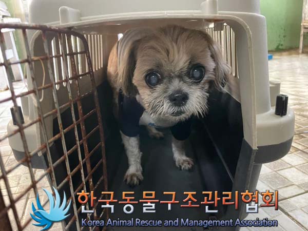 종료(반환) 시츄의…