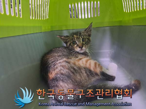 종료(자연사) 한국…