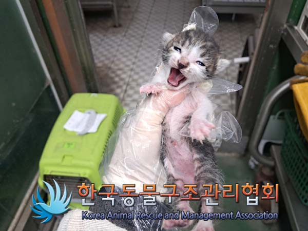 종료(자연사) 한국…