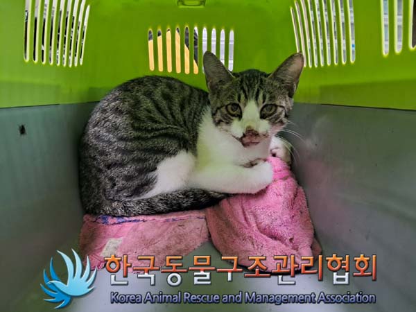 종료(자연사) 한국…