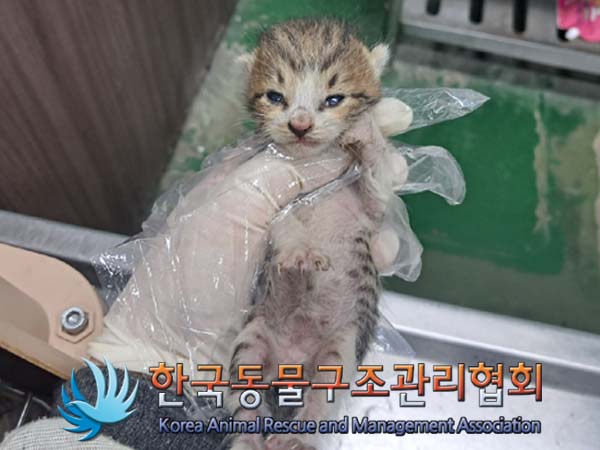 종료(자연사) 한국…