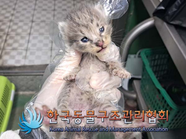 종료(자연사) 한국…