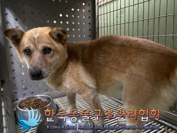 한국동물구조관리협회_411306202400622