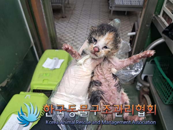 한국동물구조관리협회_411306202400623