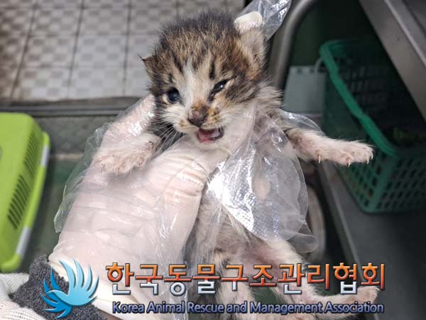 종료(자연사) 한국…