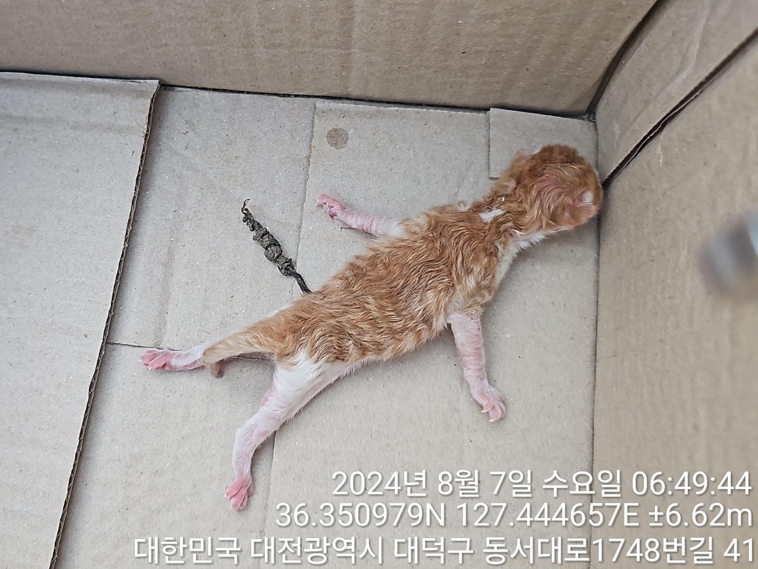 종료(자연사) 한국…