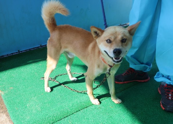 제주 동물보호센터_450650202402347