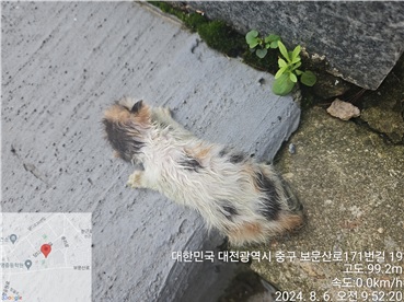 종료(자연사) 한국…