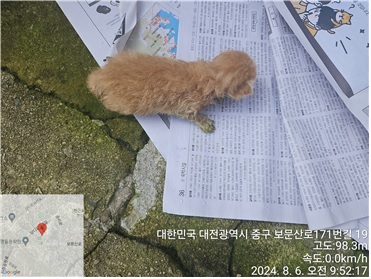 종료(자연사) 한국…