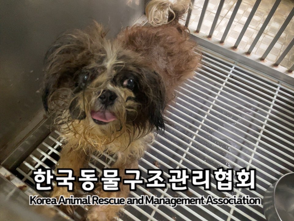한국동물구조관리협회_411310202400589