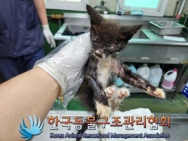 종료(자연사) 한국…