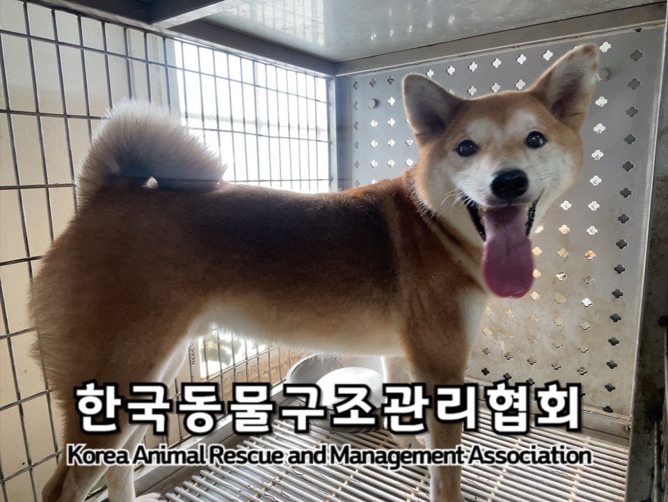 한국동물구조관리협회_411315202400407