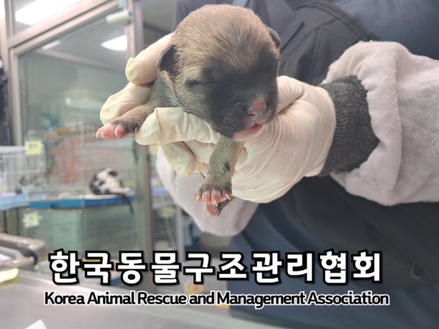 종료(자연사) 믹스…
