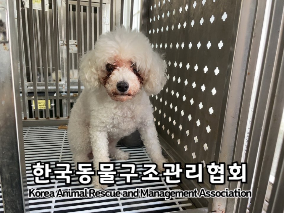 한국동물구조관리협회_411306202400625