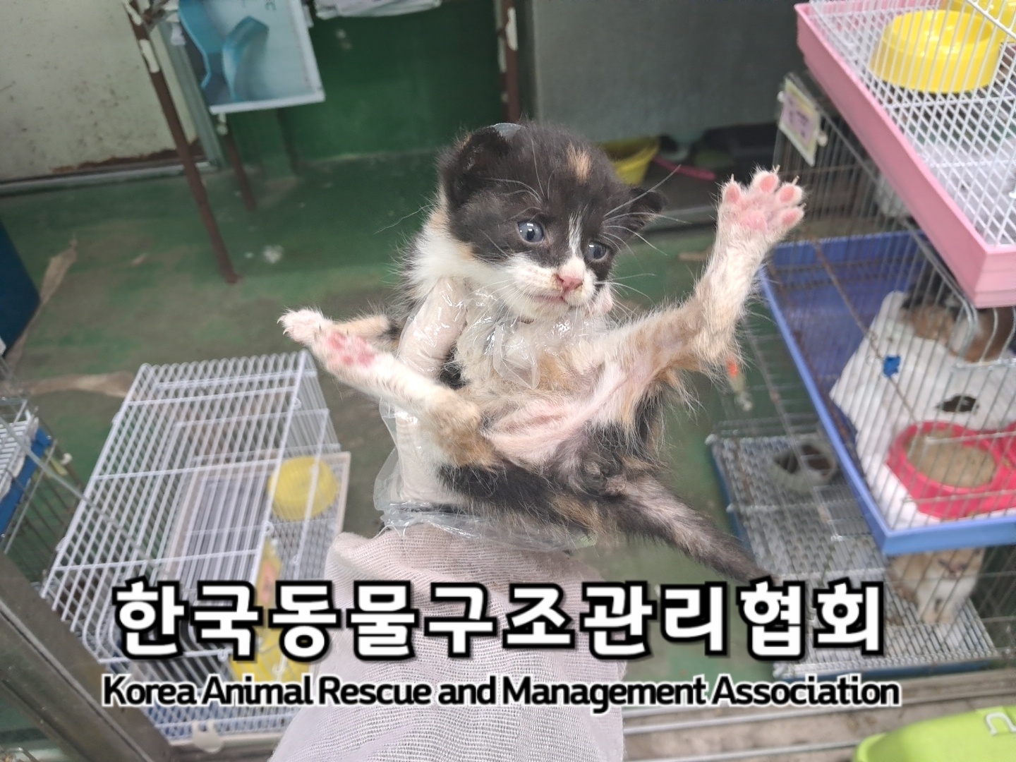 종료(자연사) 한국…
