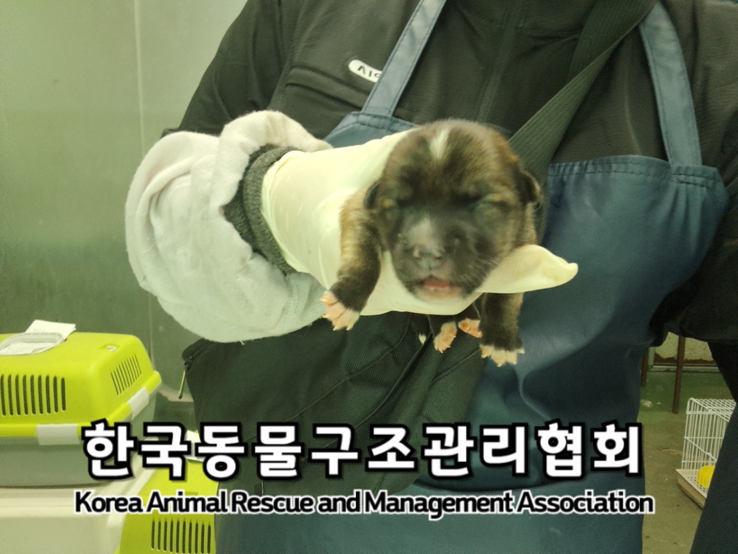 종료(자연사) 믹스…