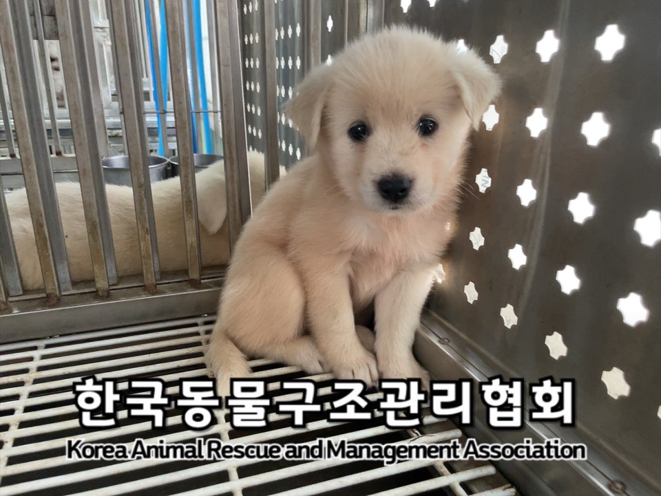 종료(자연사) 믹스…