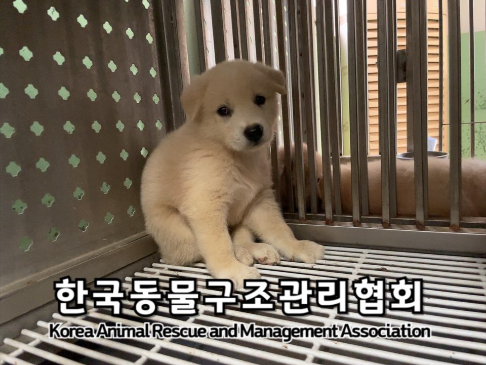 한국동물구조관리협회_441406202401328