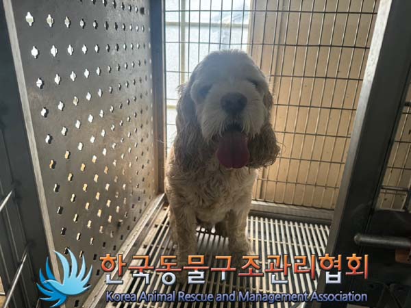 종료(반환) 코카 …