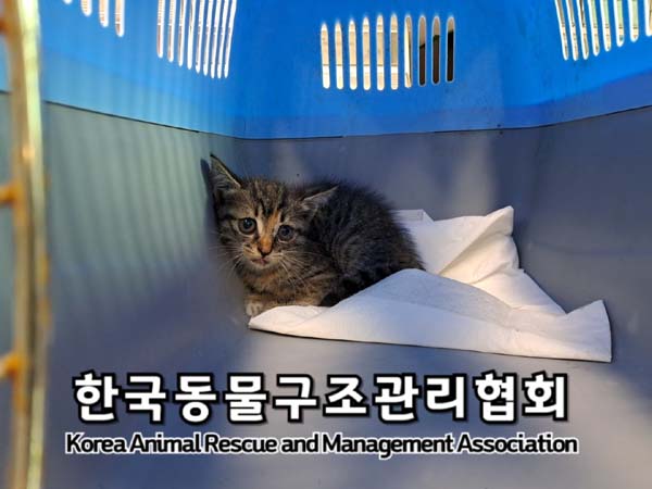 종료(자연사) 한국…