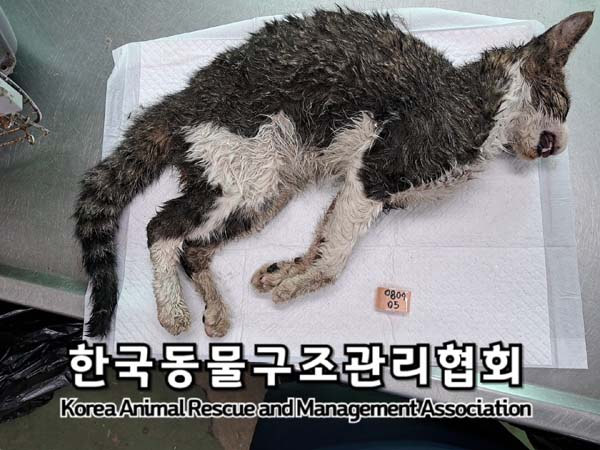 종료(자연사) 한국…