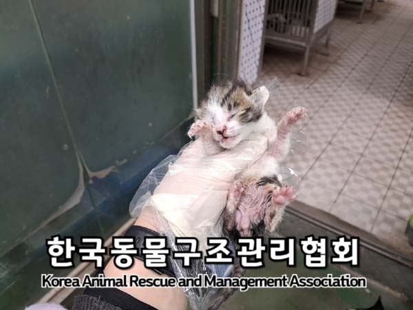종료(자연사) 한국…