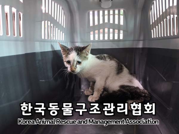 종료(자연사) 한국…