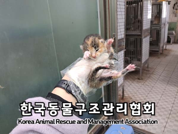 종료(자연사) 한국…