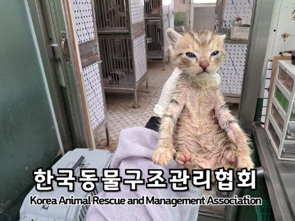 종료(자연사) 한국…