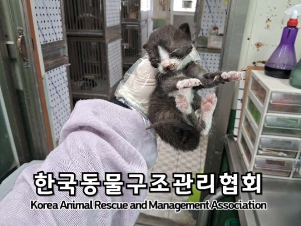 종료(자연사) 한국…