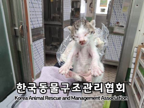 종료(자연사) 한국…