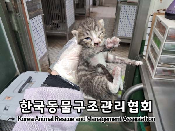 종료(자연사) 한국…