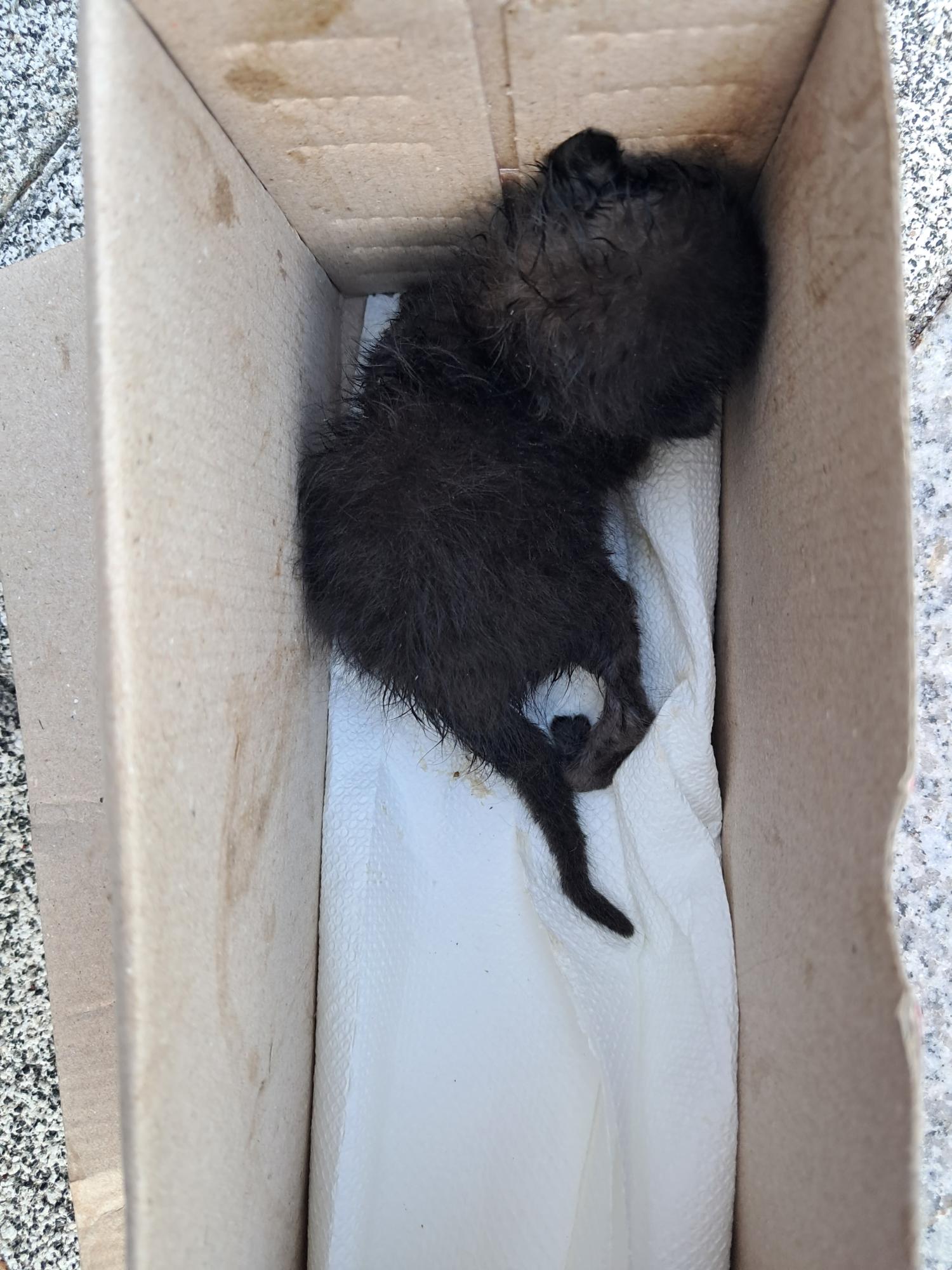 종료(자연사) 한국…