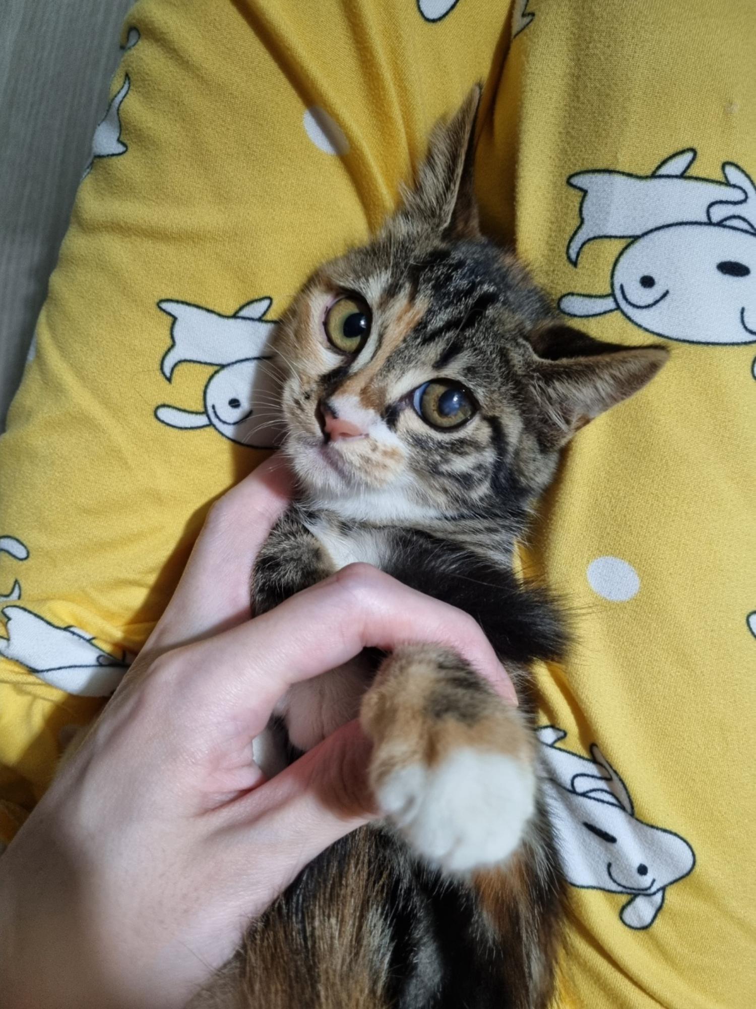 동대문구청_411305202400470