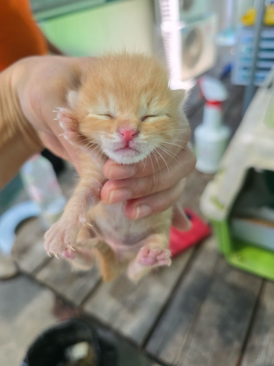 밀양시 동물보호센터_448536202401299
