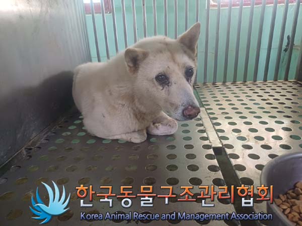 종료(안락사) 믹스…