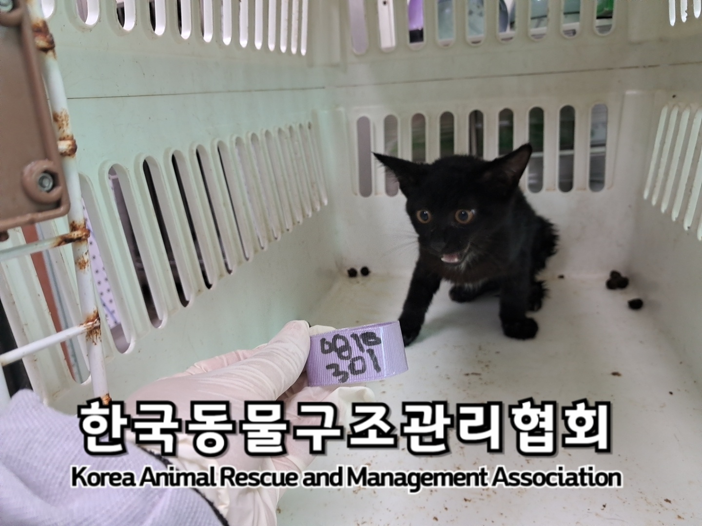 한국동물구조관리협회_441560202400947