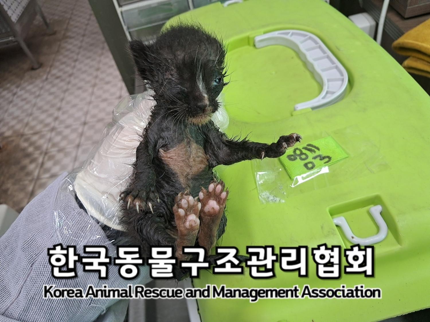 종료(자연사) 한국…