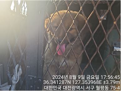 종료(자연사) 믹스…