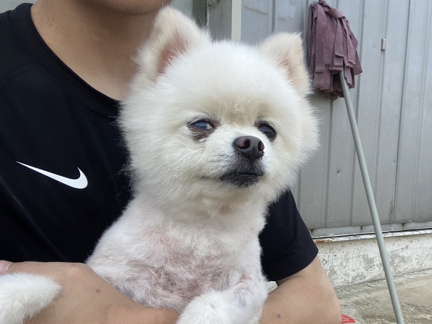 한국야생동물보호협회_441393202401571