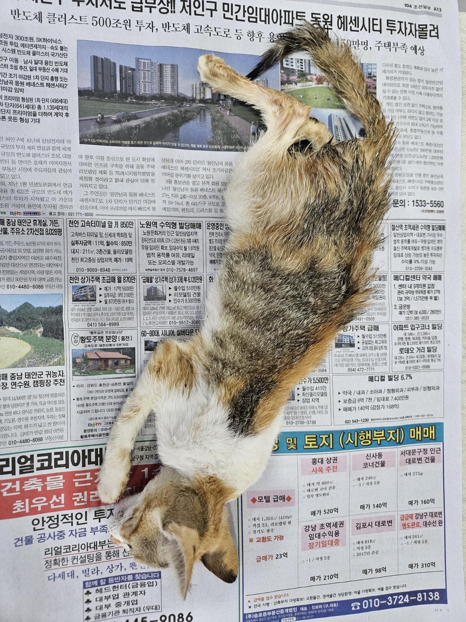 종료(자연사) 한국…