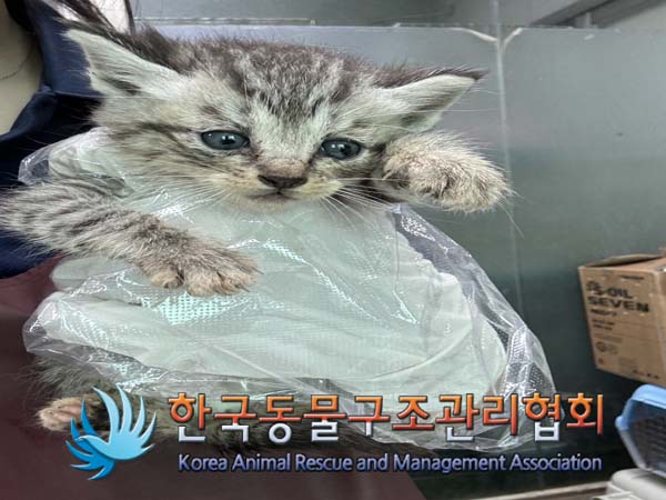 종료(자연사) 한국…