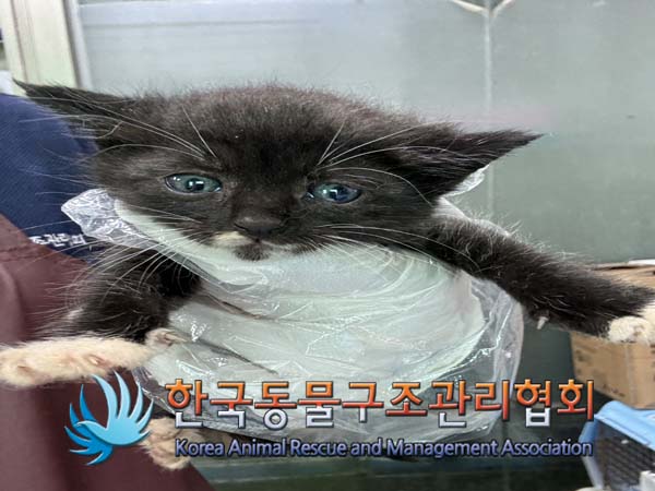 종료(자연사) 한국…