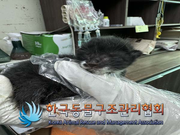 종료(자연사) 한국…