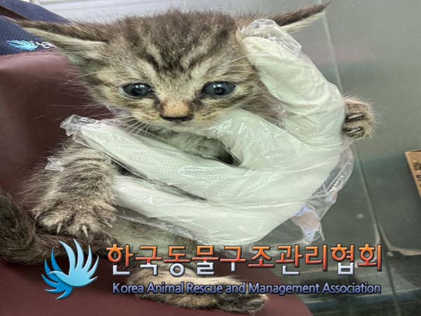 종료(자연사) 한국…