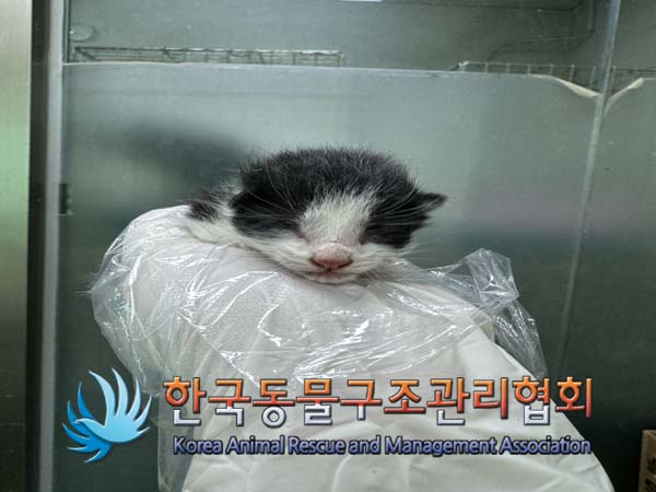 종료(자연사) 한국…