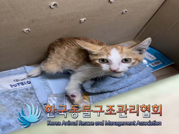 종료(자연사) 한국…